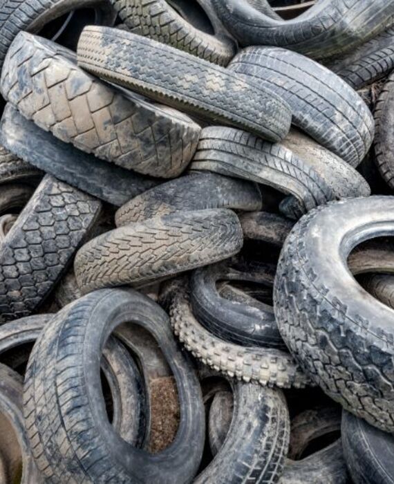 AdobeStock_214185983